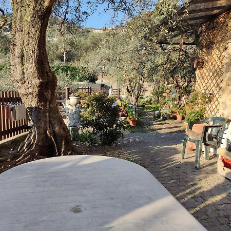 شقة Casa Elvira Seglia San Bernardo المظهر الخارجي الصورة